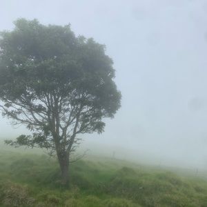 Meet your Posher, Eli